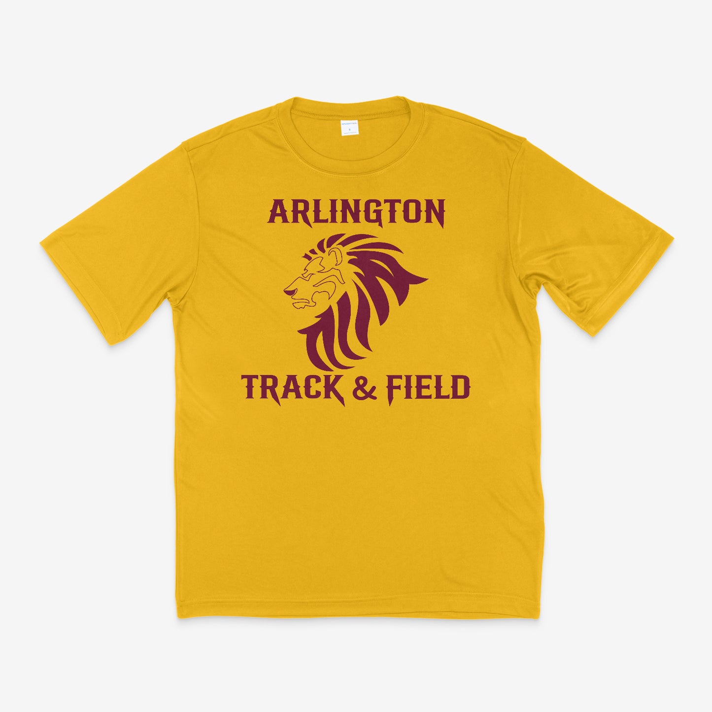 Lion Outline Design
